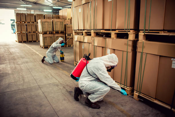 Best Exterminator Services  in Montz, LA