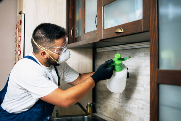 Best Pest Control Near Me  in Montz, LA