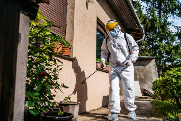 Best Wasp Removal Services  in Montz, LA