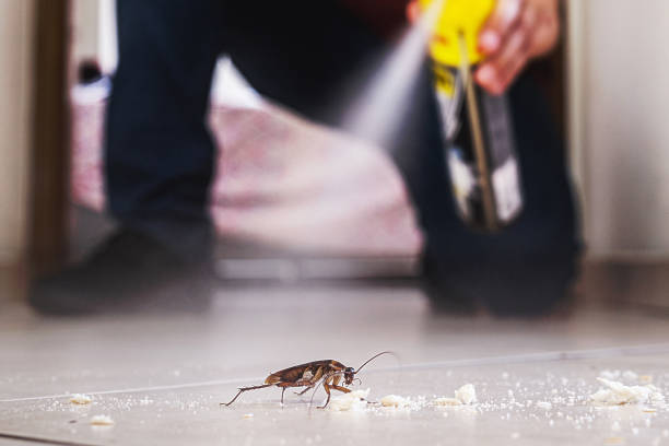 Best Bed Bug Extermination  in Montz, LA