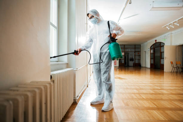 Best Affordable Pest Control Services  in Montz, LA