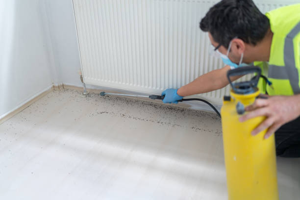 Best Affordable Pest Control Services  in Montz, LA